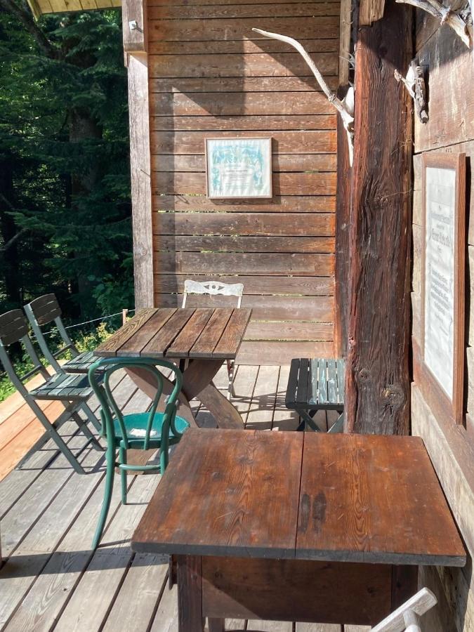 Charmante Gaestewohnung In Altem Bauernhaus In Alpiner Alleinlage Stanz Im Murztal Exterior foto
