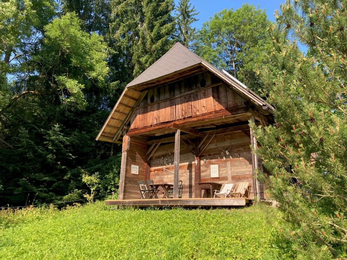 Charmante Gaestewohnung In Altem Bauernhaus In Alpiner Alleinlage Stanz Im Murztal Exterior foto